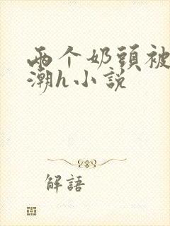 两个奶头被捏高潮h小说封面