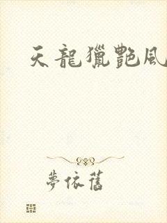 天龙猎艳风流