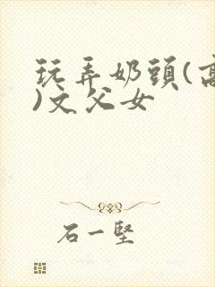 玩弄奶头(高h)文父女