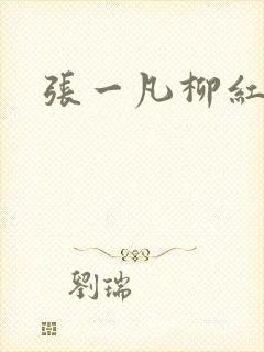 张一凡柳红封面