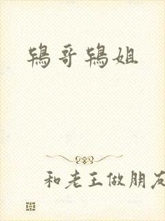 鸨哥鸨姐封面