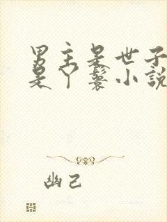 男主是世子女主是丫鬟小说封面