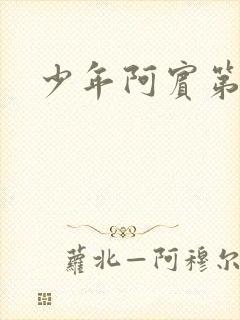 少年阿宾第二部