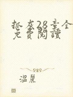 抓灰28章全部免费阅读