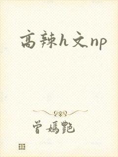 高辣h文np