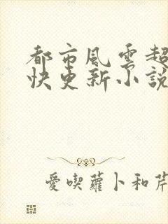 都市风云超前超快更新小说