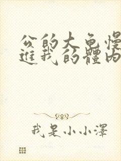 公的大龟慢慢挺进我的体内视频