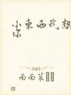 小东西我想弄坏你