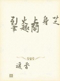 引火上身芝麻糖笔趣阁封面