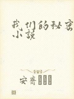 我们的秘密泰剧小说
