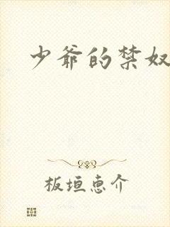 少爷的禁奴封面