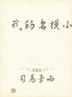 我的名模小娇妻