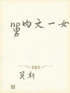 np肉文一女多男