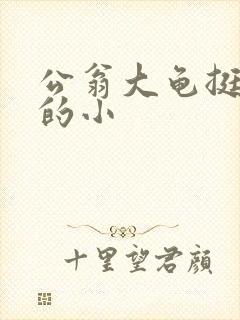 公翁大龟挺进我的小