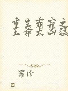 重生霸宠之摄政王爷太凶猛