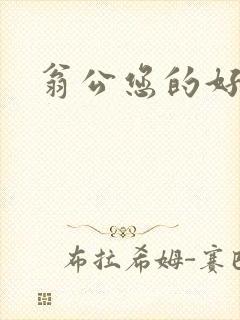 翁公您的好长呀封面