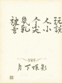 被几个人玩弄花蒂乳尖小说封面