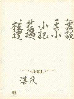 校花小柔舞蹈室遭遇记小说