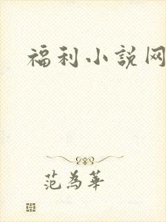 福利小说网封面