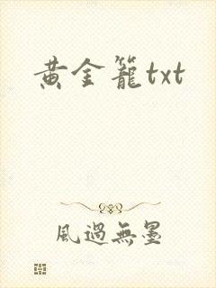 黄金笼txt
