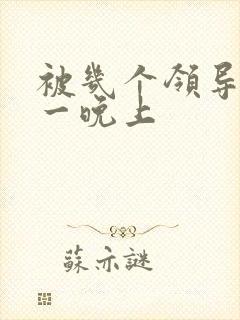 被几个领导玩弄一晚上