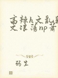 高辣h文乱乳h文浪荡np萧太后封面