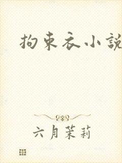 拘束衣小说封面