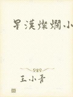 星汉灿烂小说