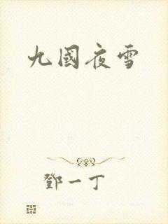 九国夜雪