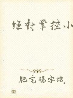 绝对掌控小说