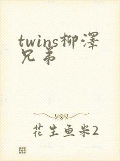 twins柳泽兄弟