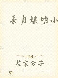 长月烬明小说封面