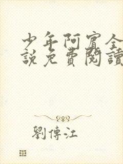 少年阿宾全文小说免费阅读笔趣阁