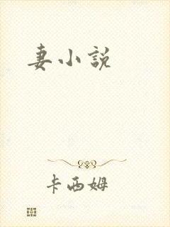妻小说