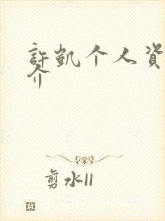 许凯个人资料简介