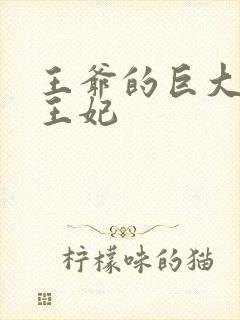 王爷的巨大进入王妃