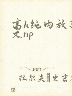 高h纯肉放荡h文np