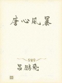 唐心风暴