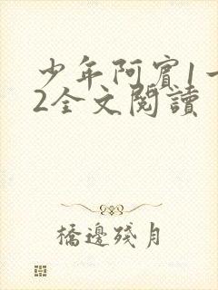 少年阿宾1一72全文阅读