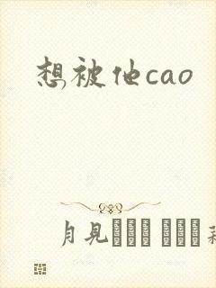 想被他cao