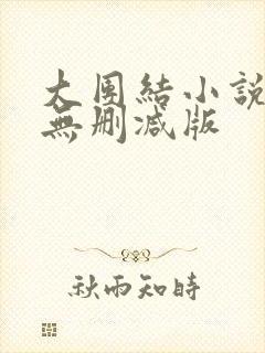 大团结小说阅读无删减版