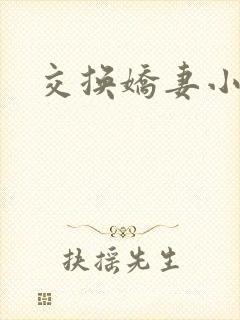 交换娇妻小说