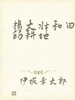 杨大壮和田桂花的耕地