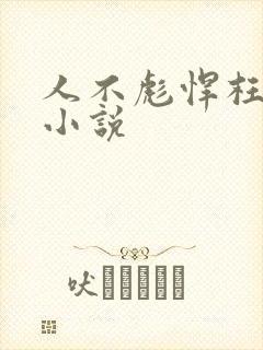 人不彪悍枉少年小说