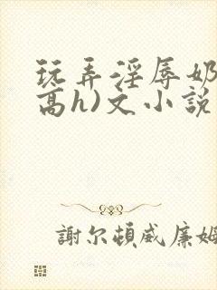 玩弄淫辱奶头(高h)文小说