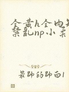 全黄h全肉短篇禁乱np小柔