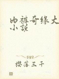 内裤奇缘大团结小说