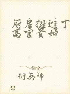 厨房挺进丁字裤高官贵妇