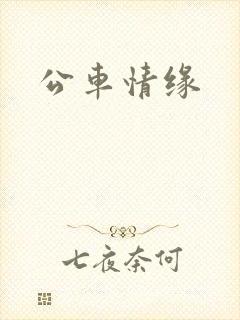 公车情缘