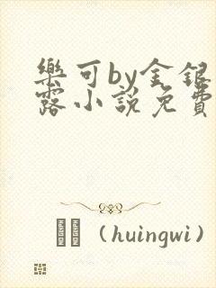 乐可by金银花露小说免费阅读封面